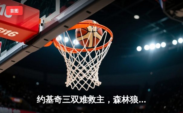 约基奇三双难救主，森林狼客场再胜掘金，系列赛2-0领先