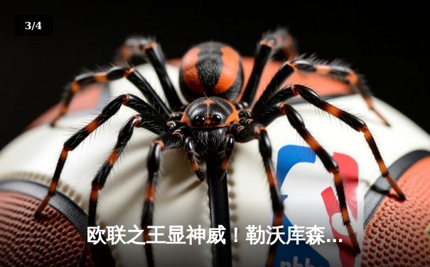 欧联之王显神威！勒沃库森补时绝平罗马，赛季不败纪录延续至49场 - 3